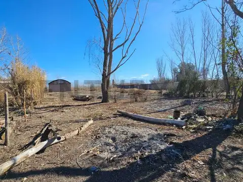 TERRENO EN VENTA | 1.400 m² | TUPUNGATO, MENDOZA