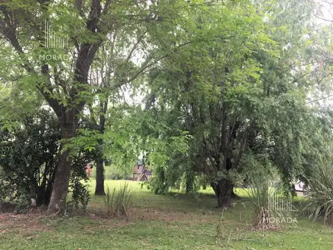 rio hondo 500 pilar