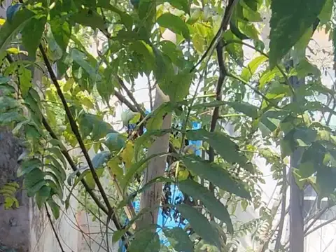 Casa 4 ambientes con 1 baño