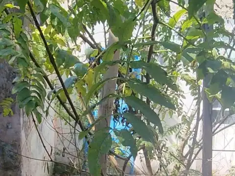 Casa 4 ambientes con 1 baño