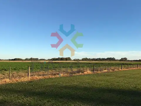 Venta / Oportunidad “El Refugio” Barrio de Chacras de 1 Hectárea en Altamira – Tomas Jofré