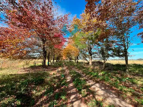 Terreno en Venta en Tomas Jofre, USD 60.000