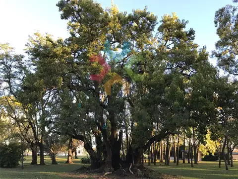 Terreno en Venta en Tomas Jofre, USD 60.000