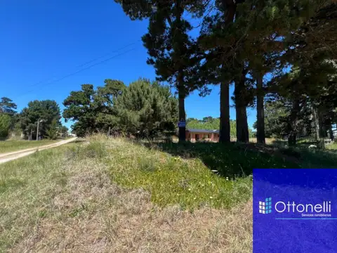 Terreno en Venta 50  mts Frente