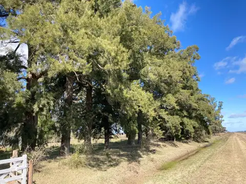 A 6 Km de la Ruta N°3 y a 8 Km de la ciudad de Las Flores