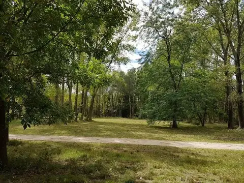 Terreno en Venta en Los Pinos, $ 17.000.000