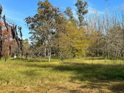 Terreno en Venta en Los Pinos, $ 17.000.000