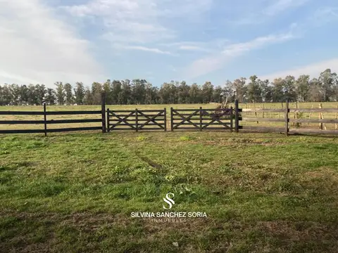 4 HAS EN VENTA, LOS CARDALES