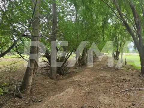 Terreno en Venta en Senillosa, USD 30.000