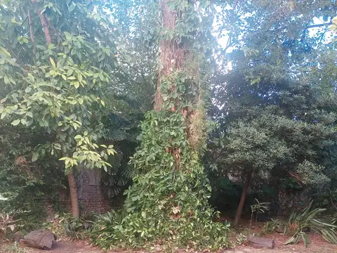 Departamento en venta en Belgrano 2 ambientes