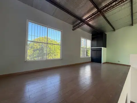 Concejal Tribulato  al 800