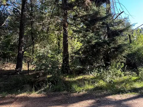 Terreno en Venta de 1500,0 m2