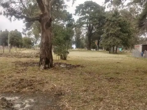 Antartida Argentina 400