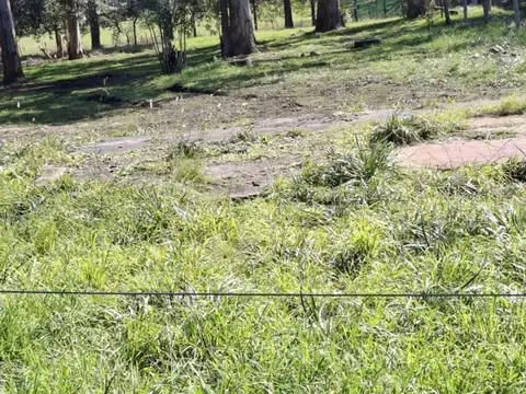 Antartida Argentina 400