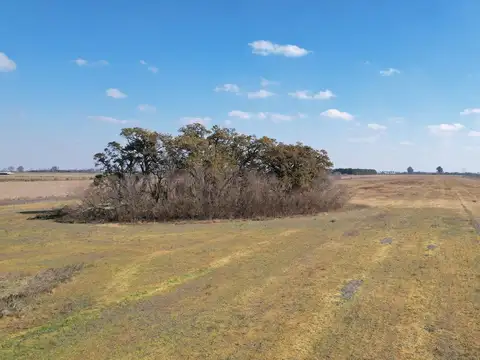 Campo en VENTA 36 hectáreas CLASE 1  Oliveros, Sta Fe