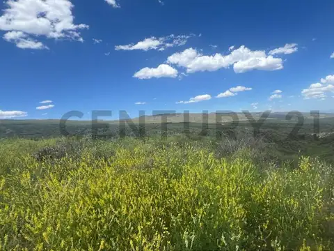 Terreno en Venta en Tupungato, USD 110.000