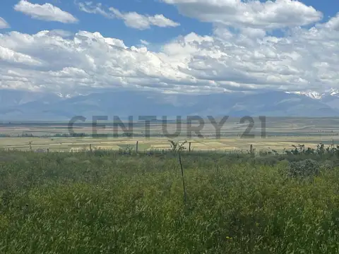 Venta de Terreno en Tupungato Mendoza