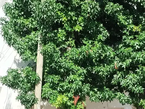 PH de 3 amb. en planta alta a reciclar, San Isidro