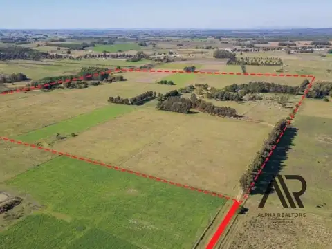 Venta De Campo Productivo De 42 Ha + 2 Casas Con Barbacoa