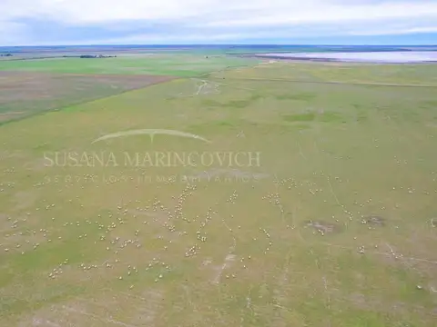 Campo en venta en Carmen de Patagones