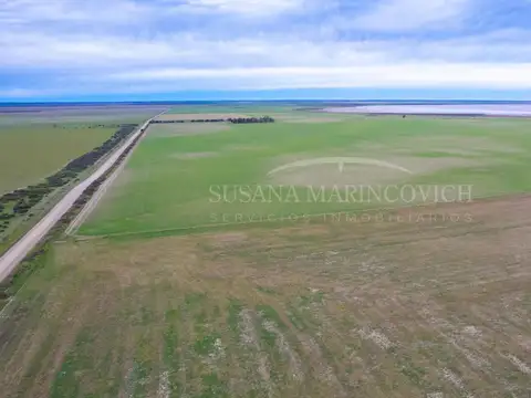 Campo en venta en Carmen de Patagones