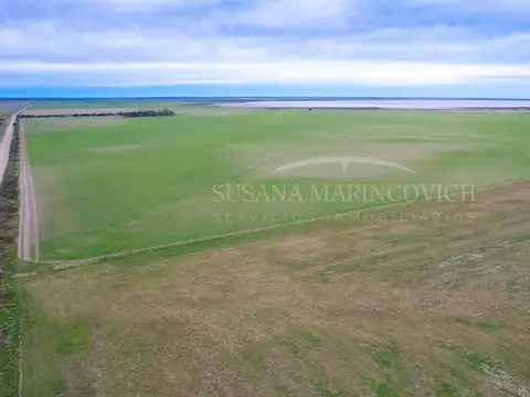 Campo en venta de 2724ha Carmen de Patagones
