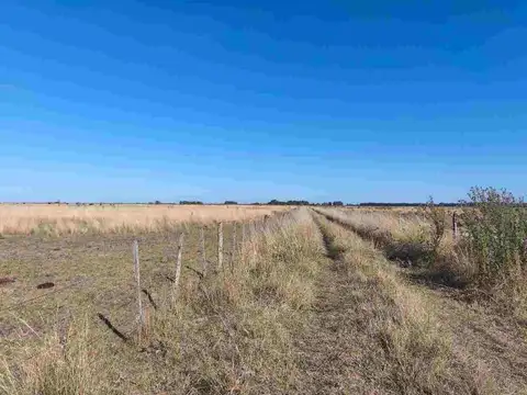 CAMPO GANADERO EN VENTA