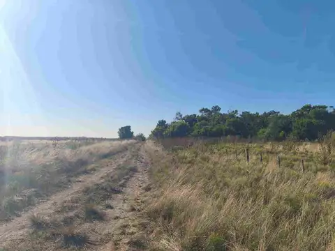 CAMPO GANADERO EN VENTA