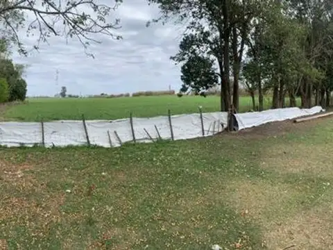 VENTA CAMPO 8 H con casa y galpón.