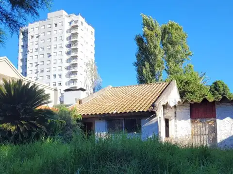 Arguero 800