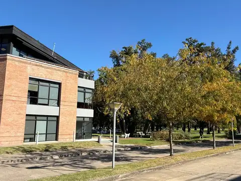 Oficina en Alquiler A Estrenar