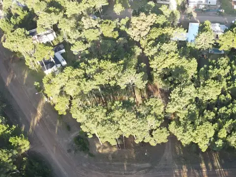 Lote en Venta en Pinamar Zona Álamos