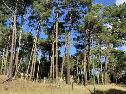 Terreno en Venta en Alamos 2, USD 95.000