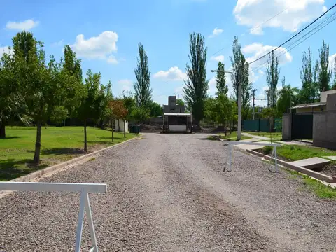 Cruz Videla . Lulunta, Maipu