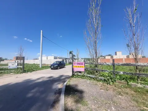 Terreno - Francisco Alvarez