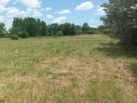 Campo en Venta de 28  ha