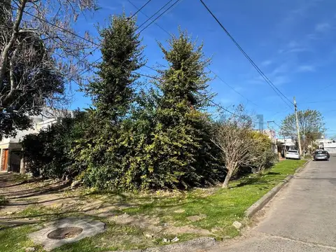 168 Entre 13 y 13 bis 1100, Piso 0