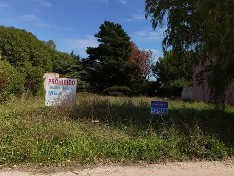 Terreno en Venta 40  mts Fondo