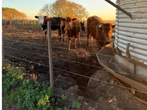 360 Ha. Acevedo, Buenos Aires