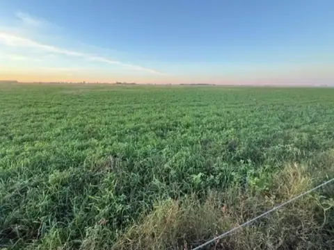 360 Ha. Acevedo, Buenos Aires
