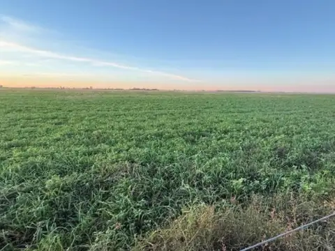 Campo en Venta de 360  ha