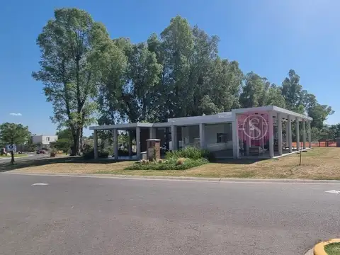 Santa Elena 1000