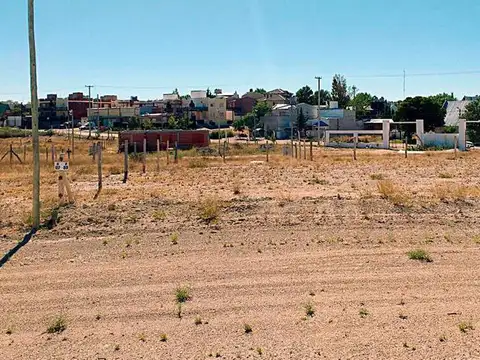 CONFIDENCIAL - BI683325