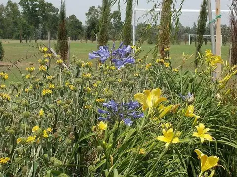 Terreno en Venta en Santa Rita, USD 75.000