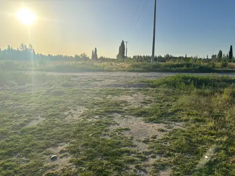 LOTE 6 MANZANA 18 LA RUFINA II