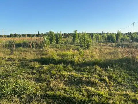 Terreno en Venta de 300,0 m2