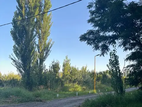 LOTE 6 MANZANA 18 LA RUFINA II