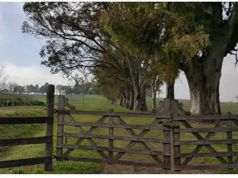 Campo De 59 Has Sobre Ruta, Con Casco, Casa De Invitados, Galpones Y Dependencias