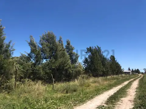 Terreno en Venta en Los Talas, USD 60.000