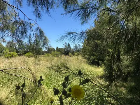 97 y San Gabriel , Piso 0